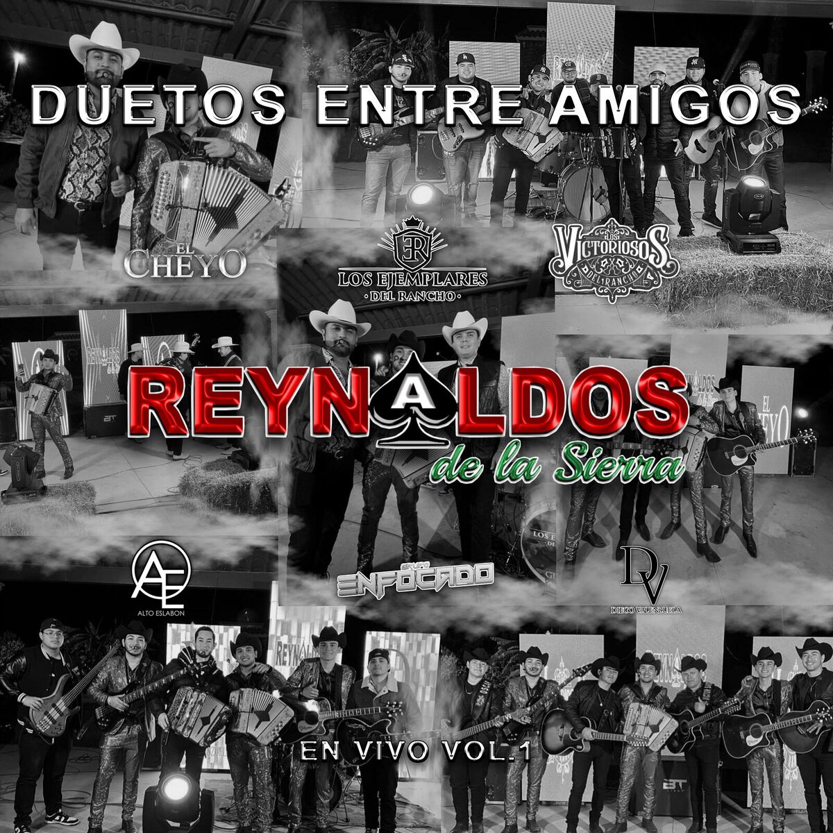 Album cover of Duetos Entre Amigos (En Vivo Vol. 1)