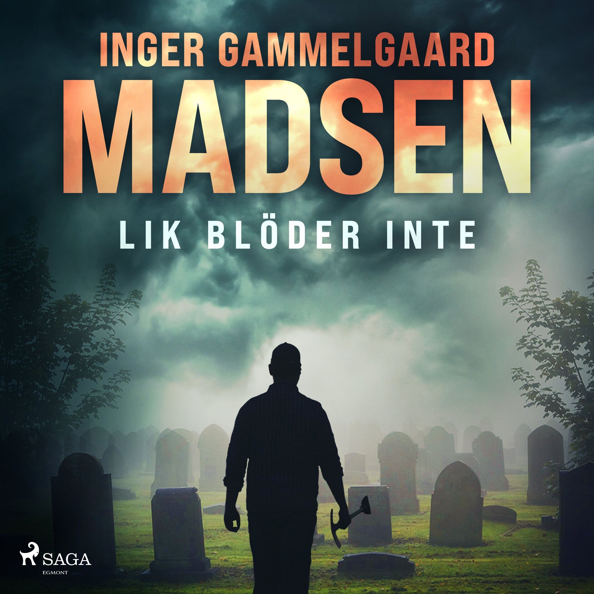 Album cover of Lik blöder inte