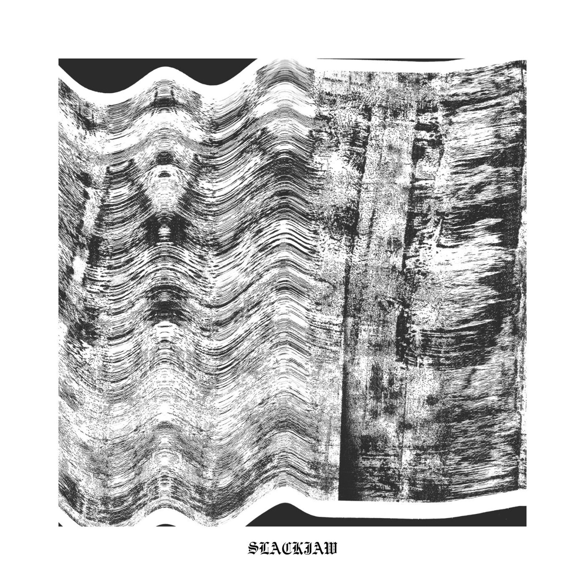 Album cover of SLACKJAW