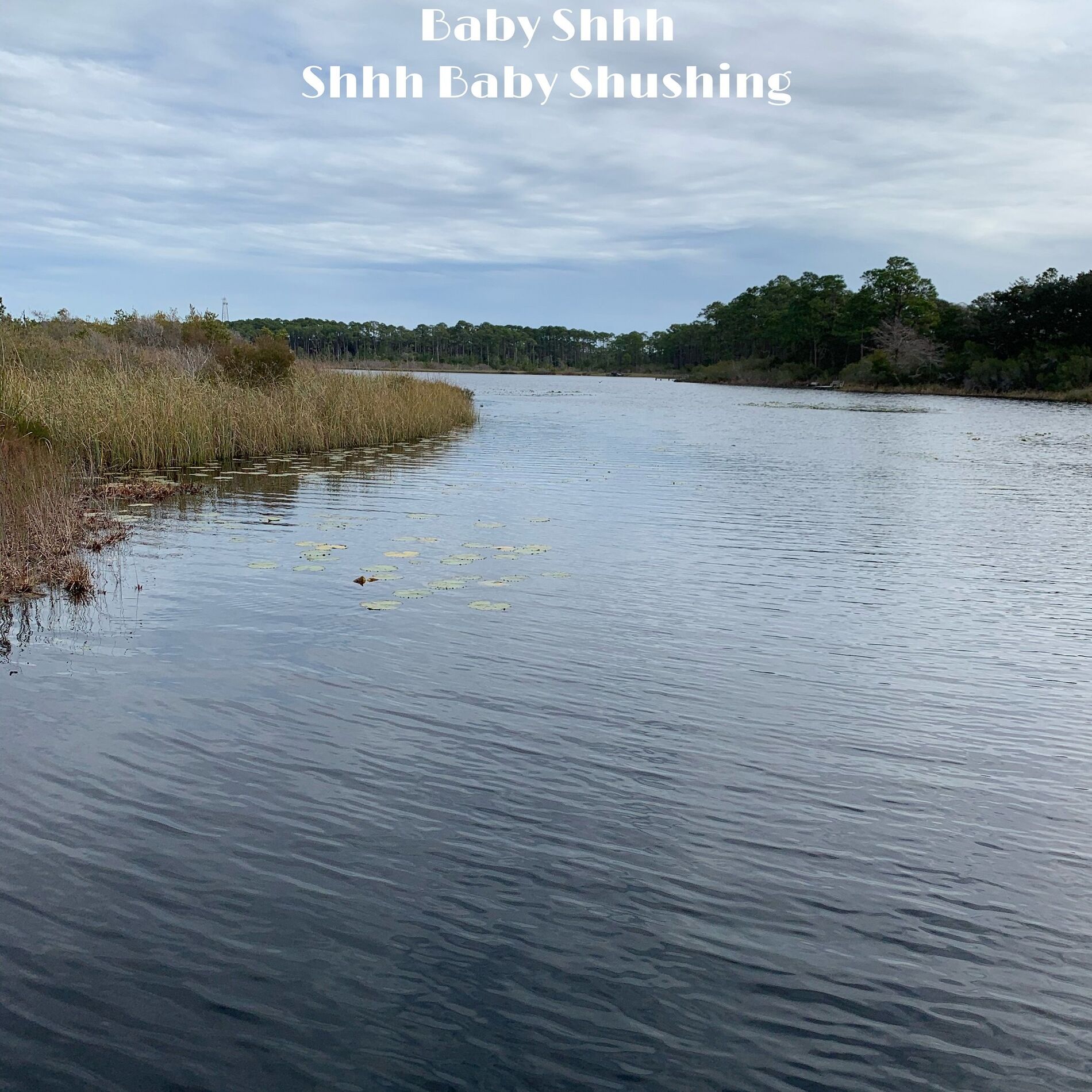 Album cover of Shhh Baby Shushing