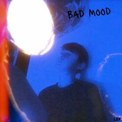 Cover of Bad Mood