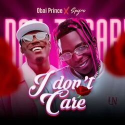 Cover of I Don't Care