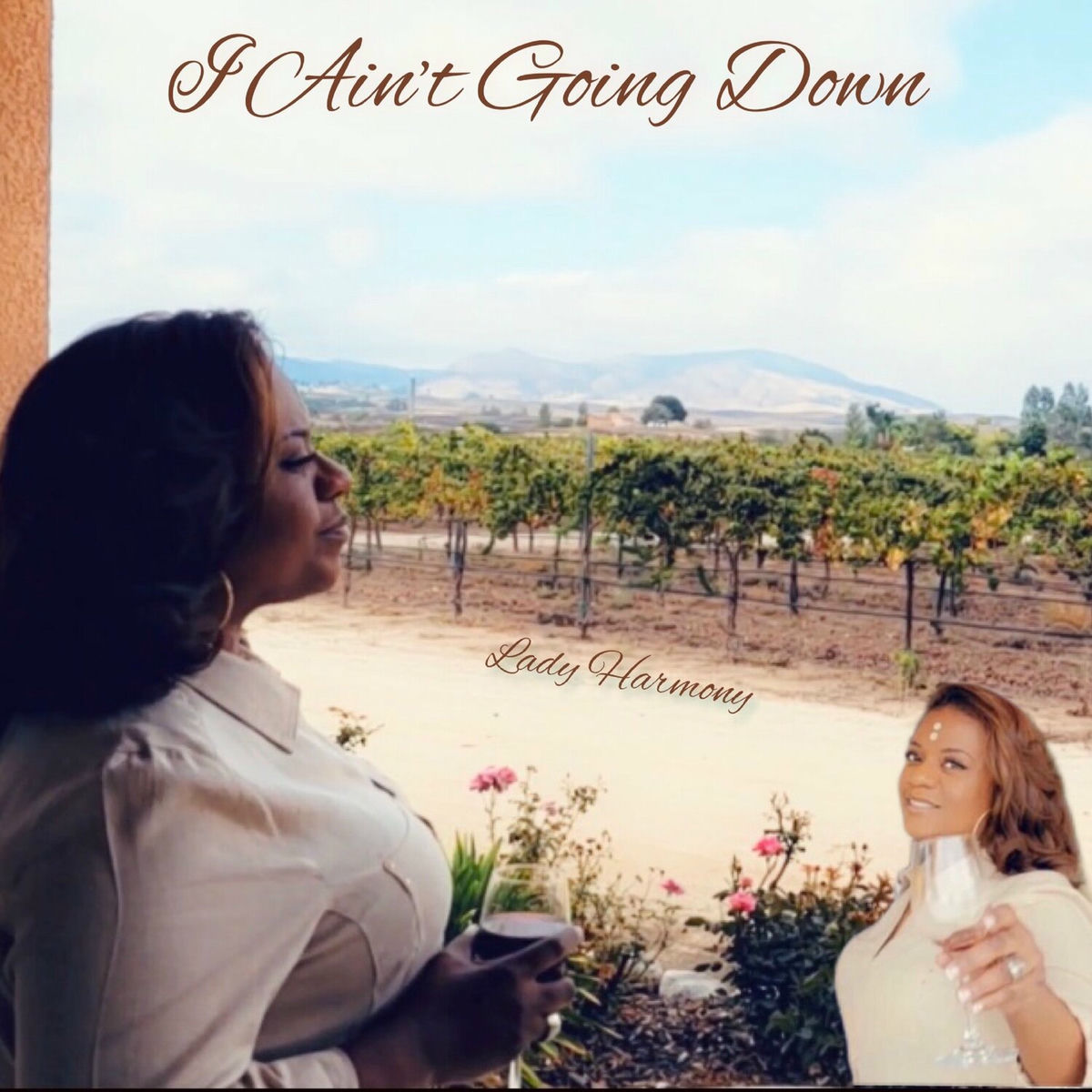 Album cover of I Ain't Going Down