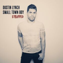 Cover of Small Town Boy (Stripped)