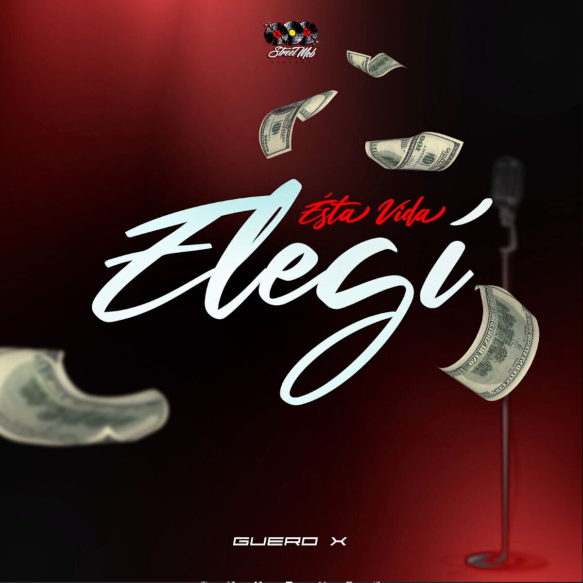 Album cover of Esta Vida Elegi