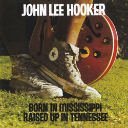 Cover of Born In Mississippi, Raised Up In Tennessee