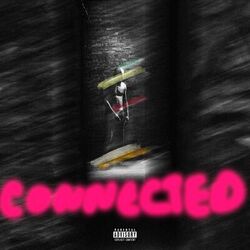 Cover of Connected