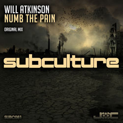 Descargar Numb the Pain - Will Atkinson MP3