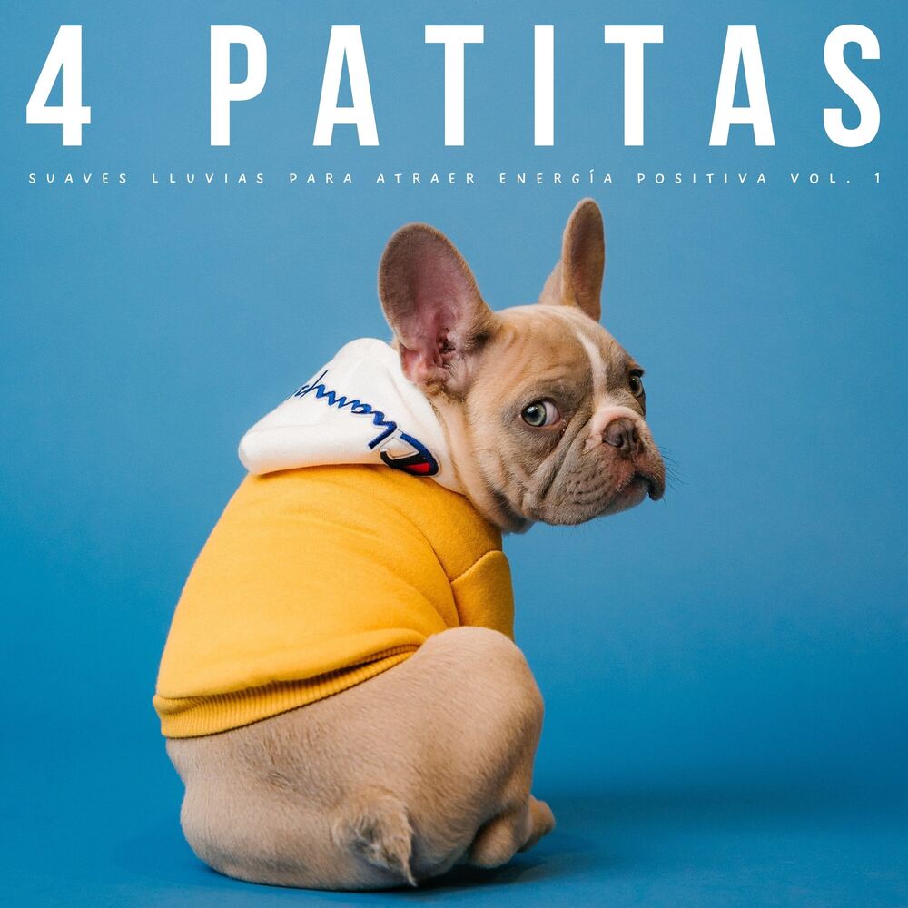 Picture of 4 Patitas: Suaves Lluvias Para Atraer Energía Positiva Vol. 1