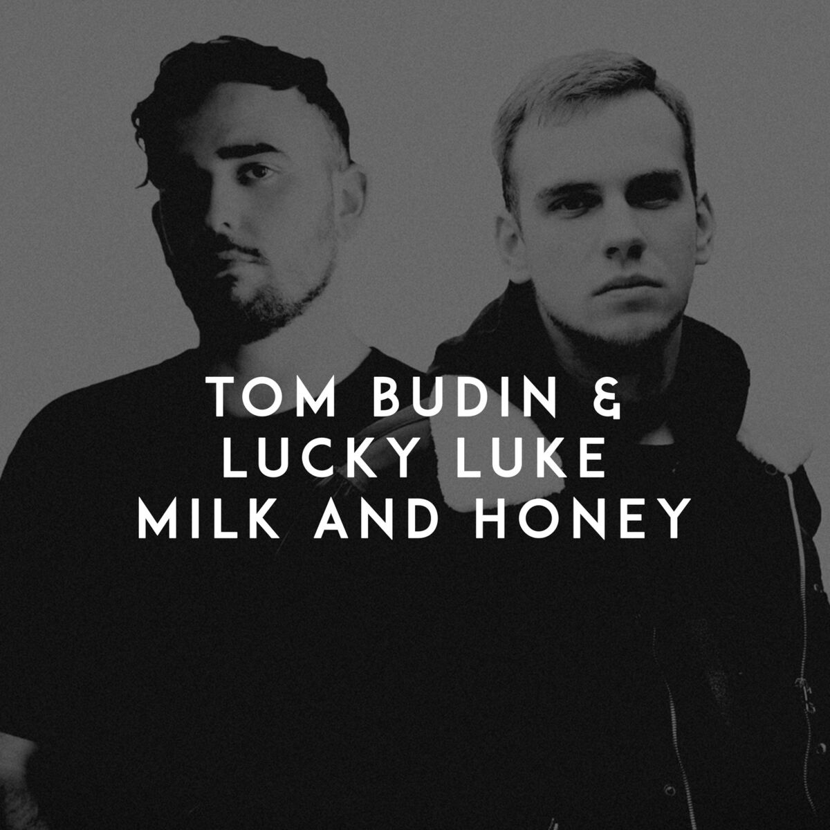Album cover of Milk and Honey