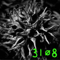 31&Oslash;8