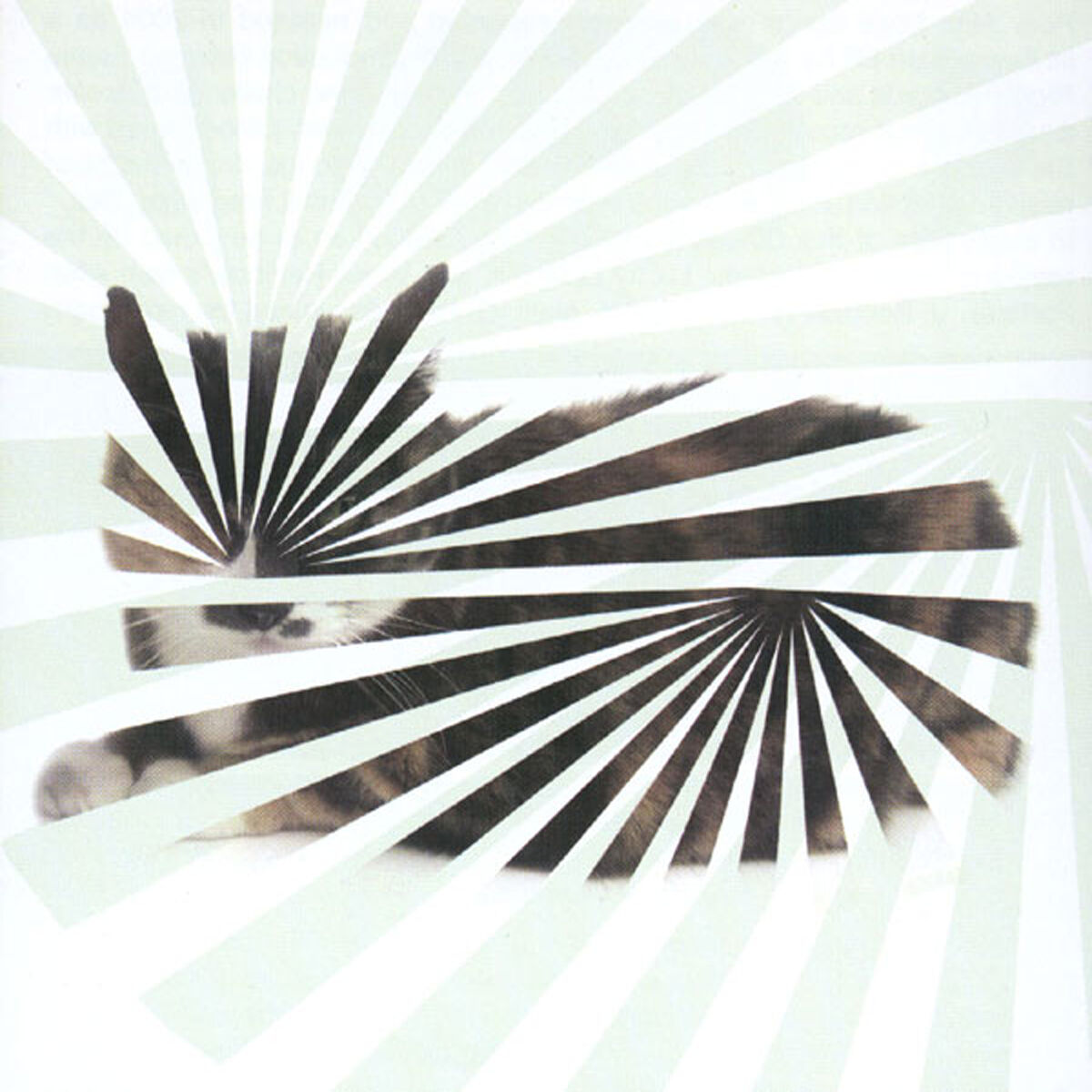 Album cover of Poor Aim: Love Songs