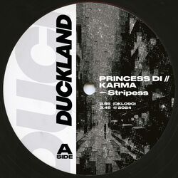 Cover of Princess Di // Karma