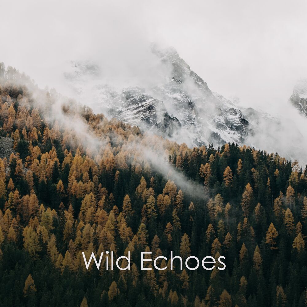 Picture of Wild Echoes: Amazon Nature Meditation, Green Zen Meditation