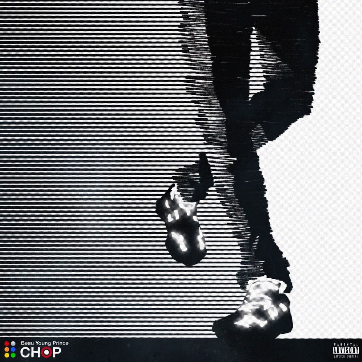 Album cover of Chop