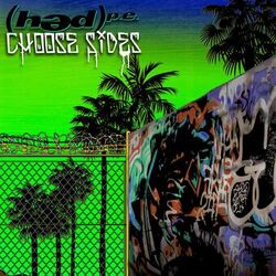 Cover of Choose Sides