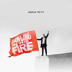 Cover of Dancing in the Fire