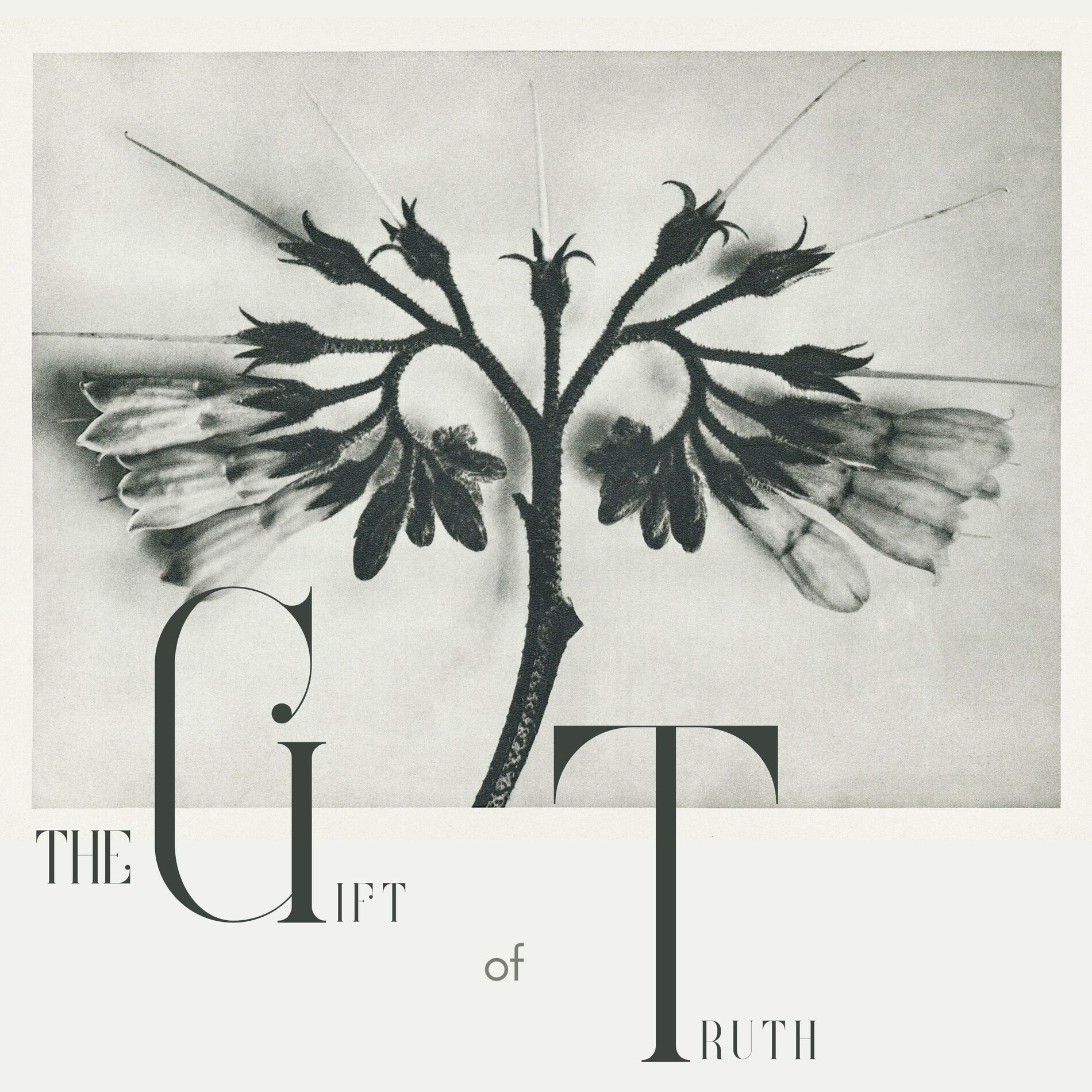 Album cover of The Gift Of Truth