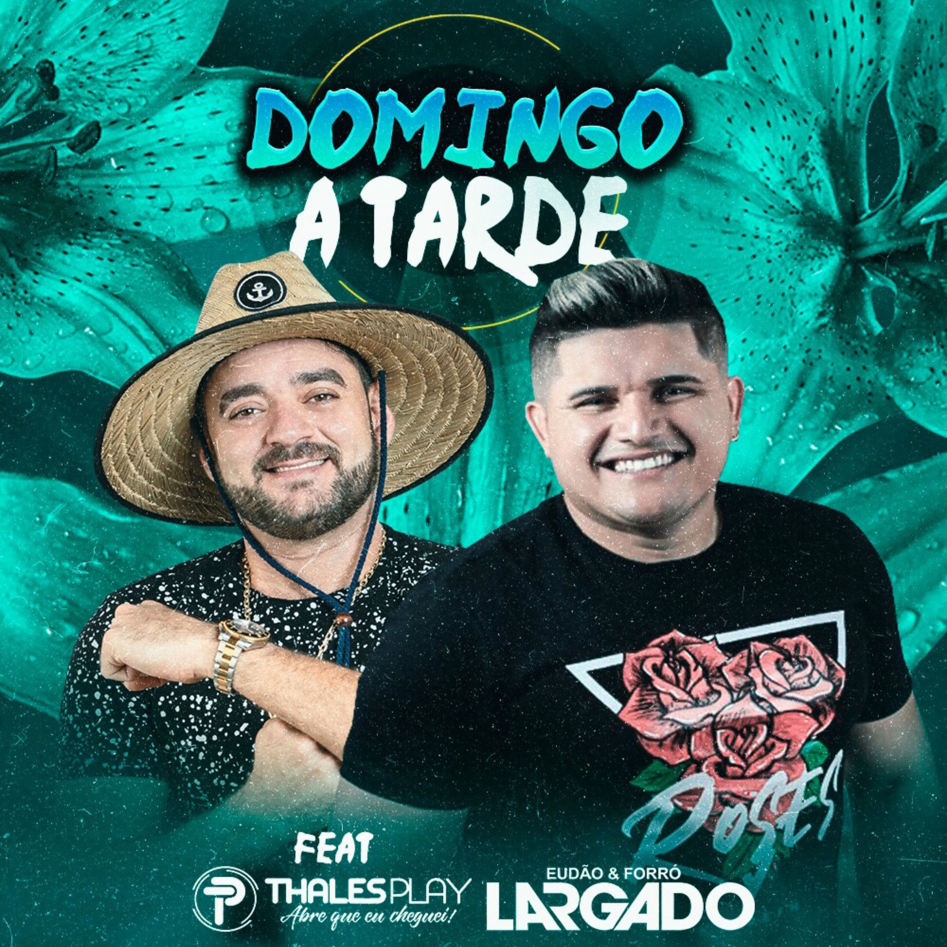 Album cover of Domingo a Tarde