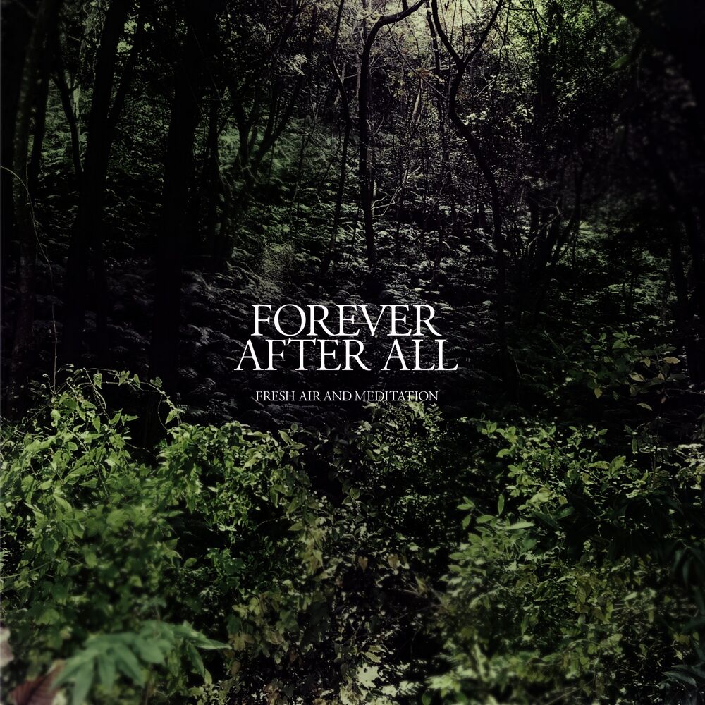 Picture of Forever After All