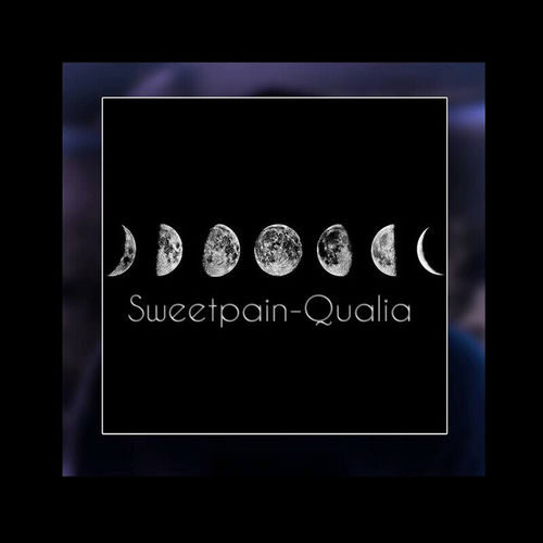 E (Qualia) sleeve