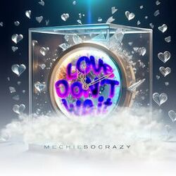 Cover of Love Dont Wait