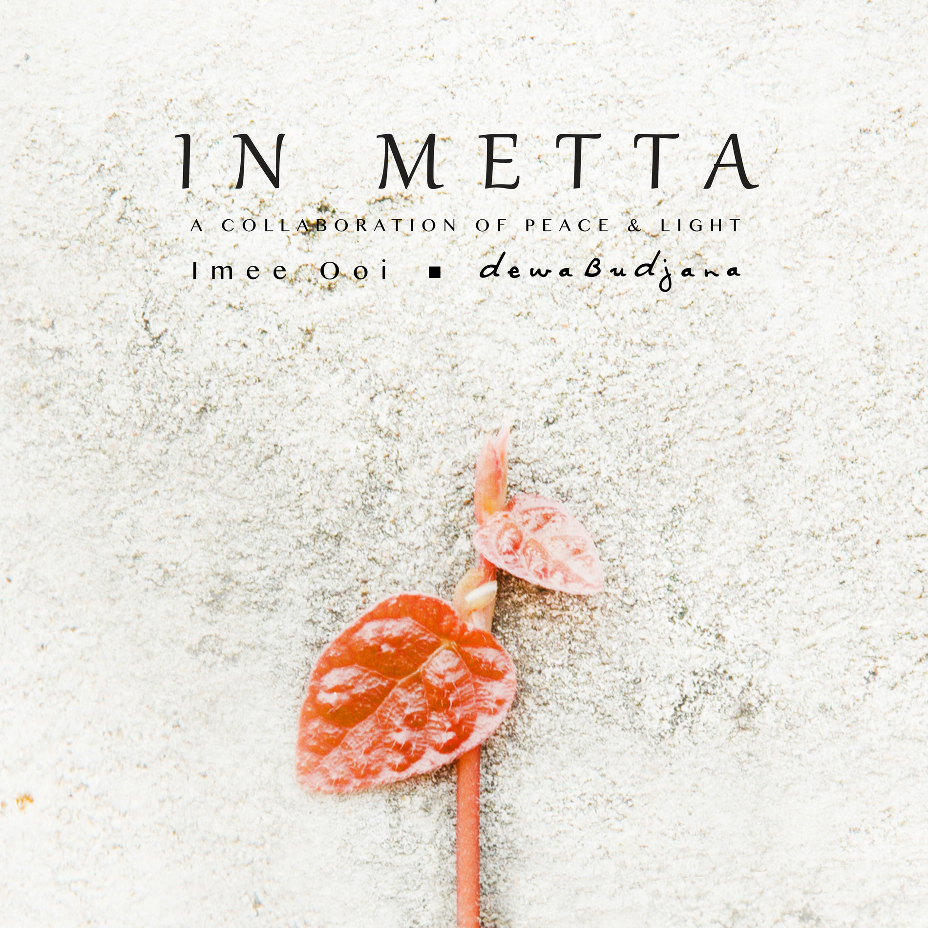 Album cover of Om Mani Padme Hum (In Mindfulness)