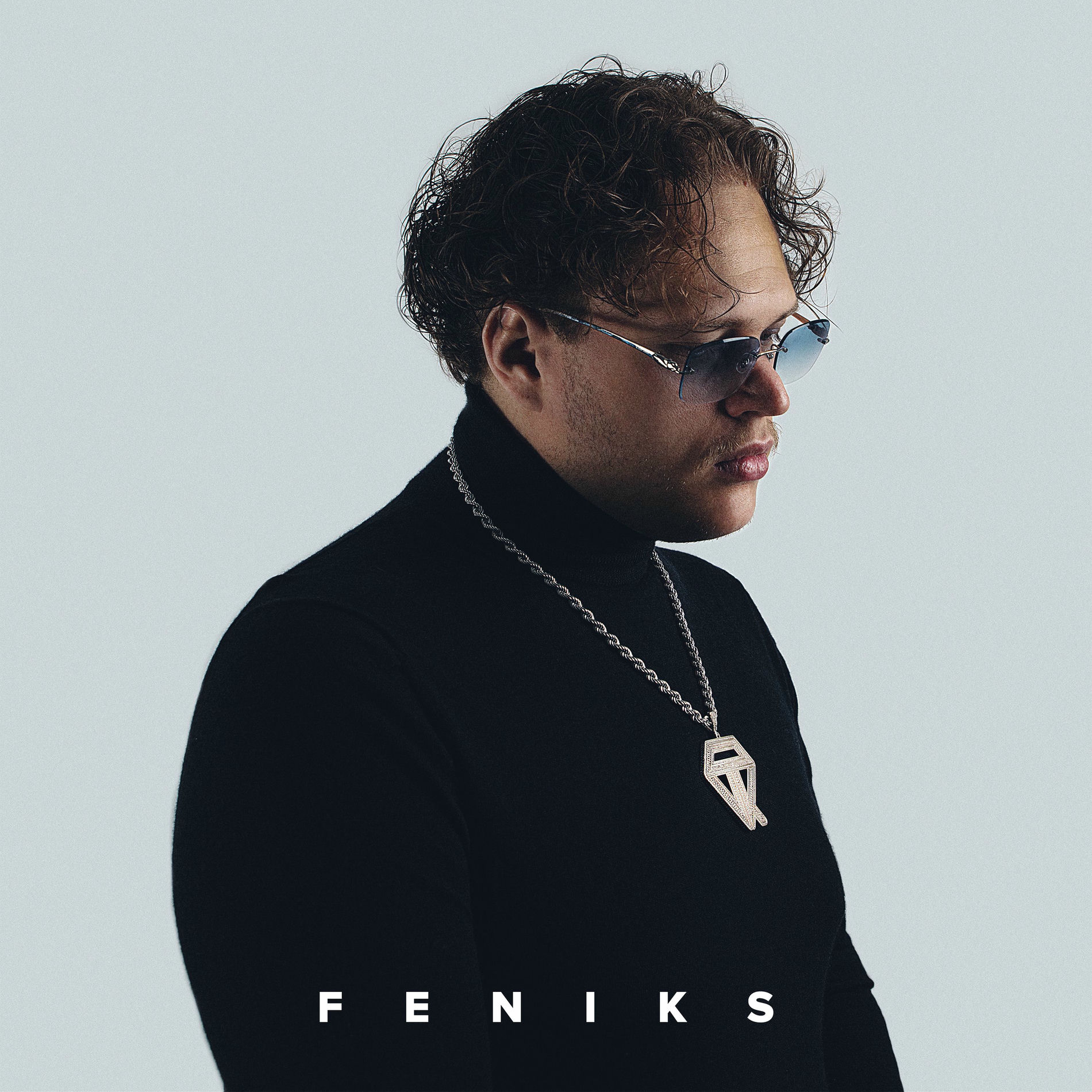 Album cover of Feniks