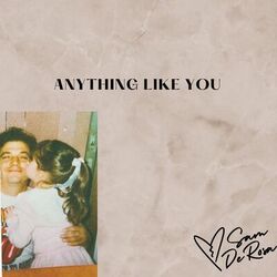 Cover of Anything like you