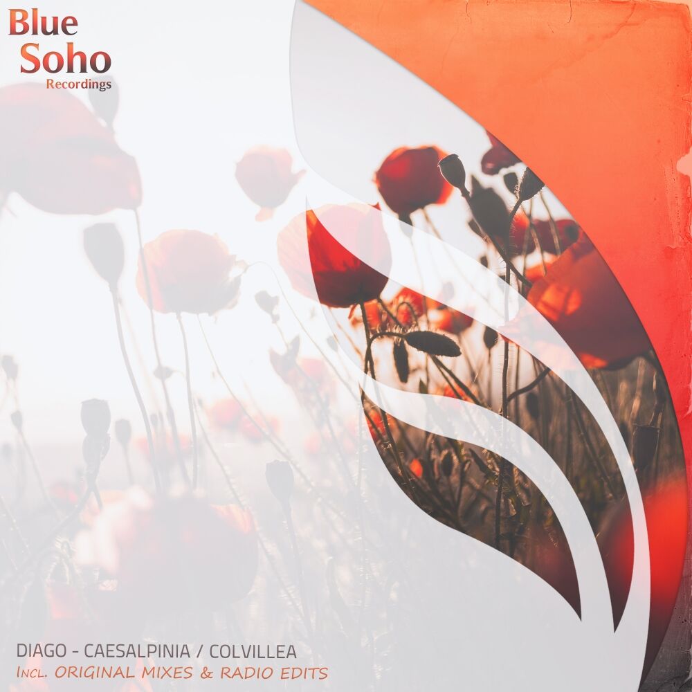 Picture of Caesalpinia EP