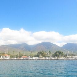 Cover of Lahaina Town (Beauty from Ashes)