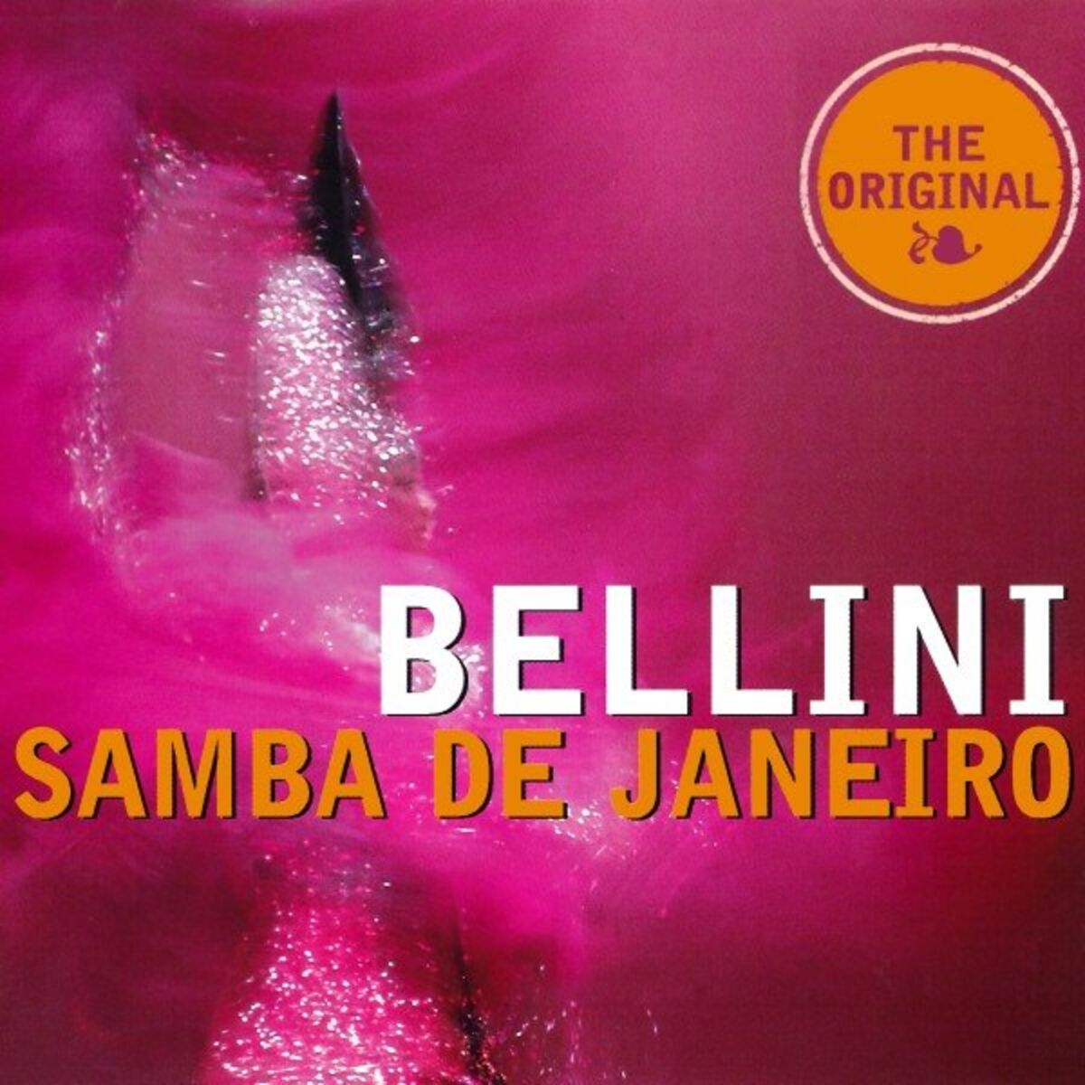 Album cover of Samba de Janeiro