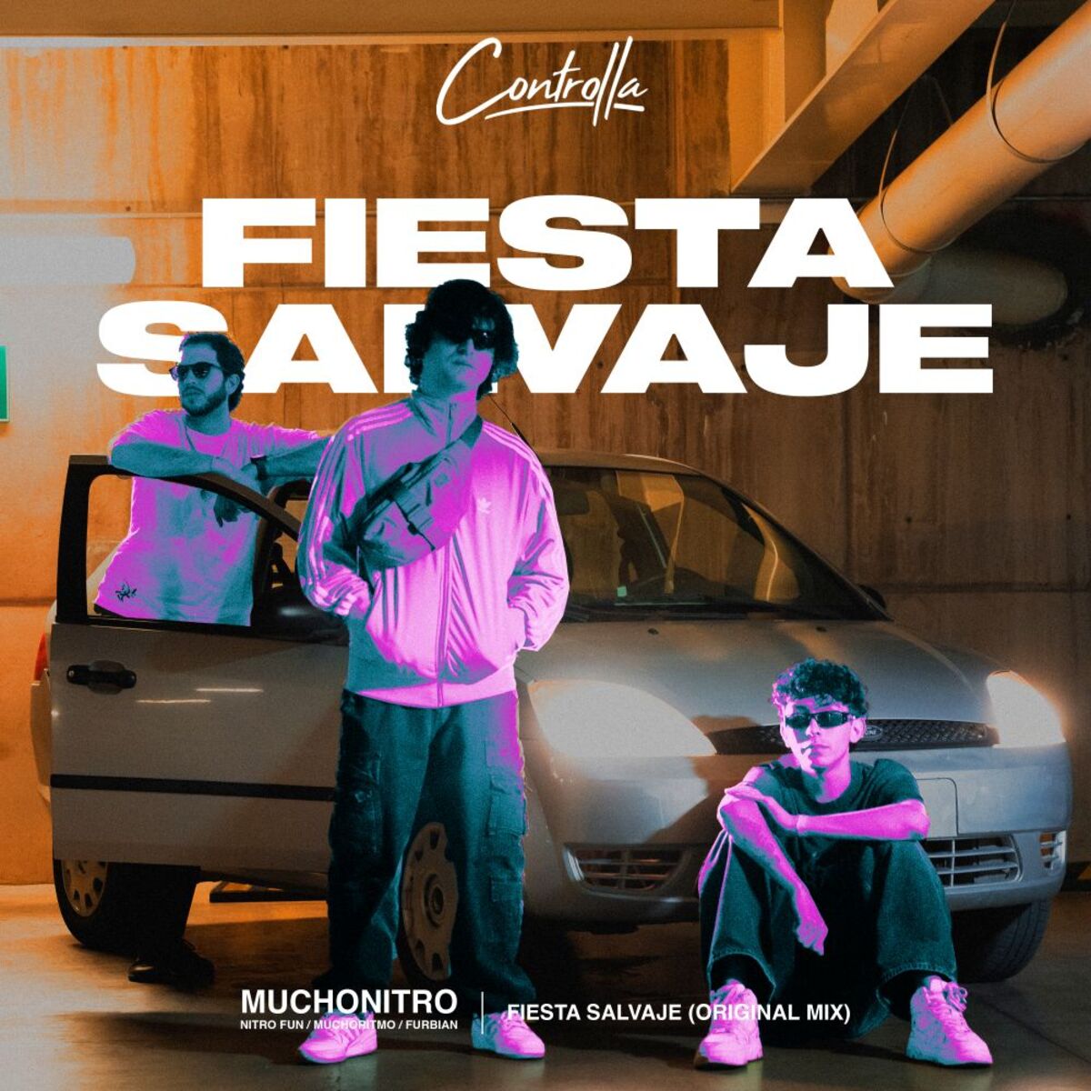 Album cover of FIESTA SALVAJE