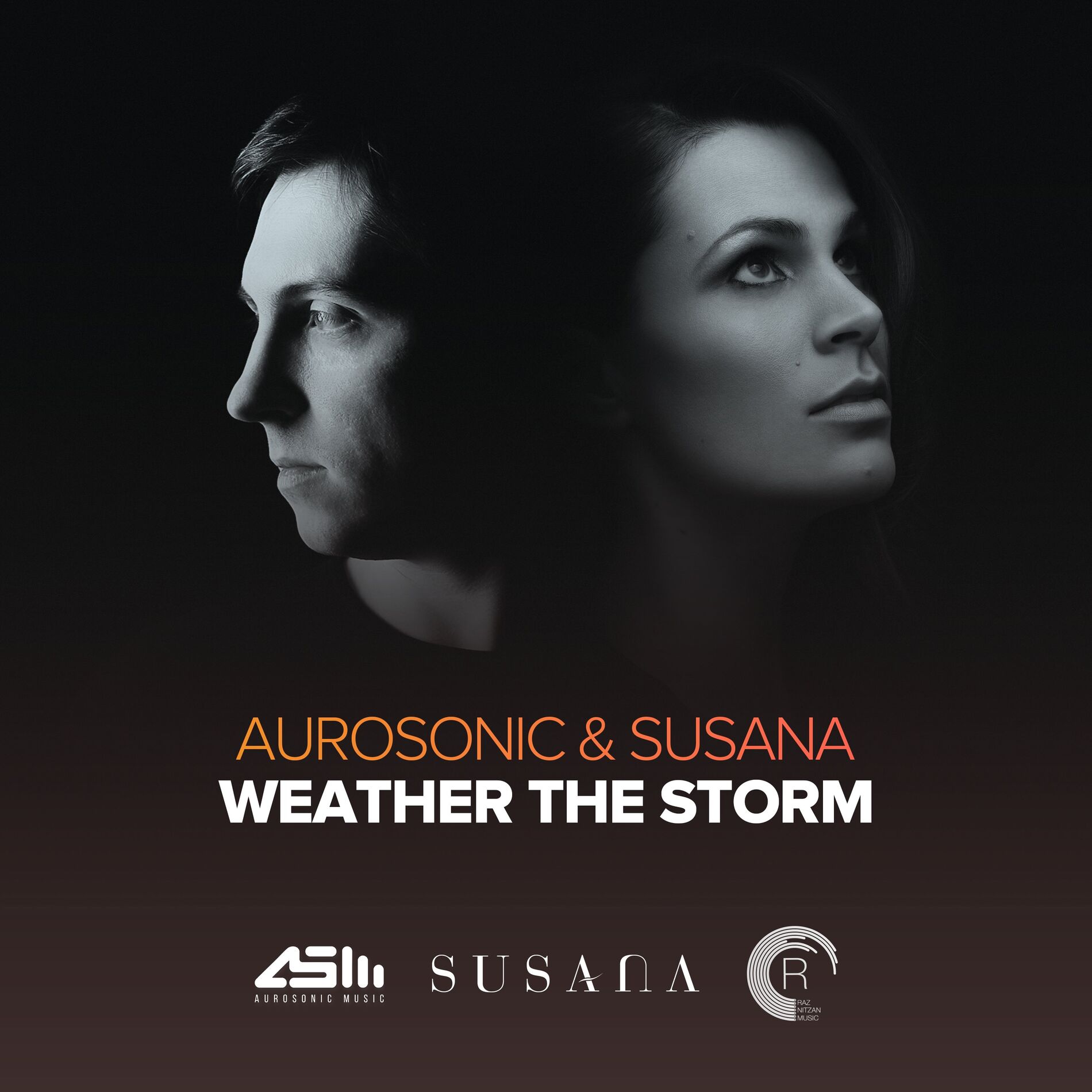 Album cover of Weather The Storm