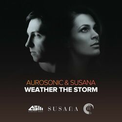 Cover of Weather The Storm