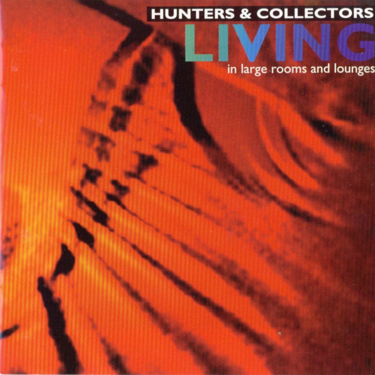 Album cover of Living In Large Rooms and Lounges