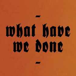 Cover of What Have We Done
