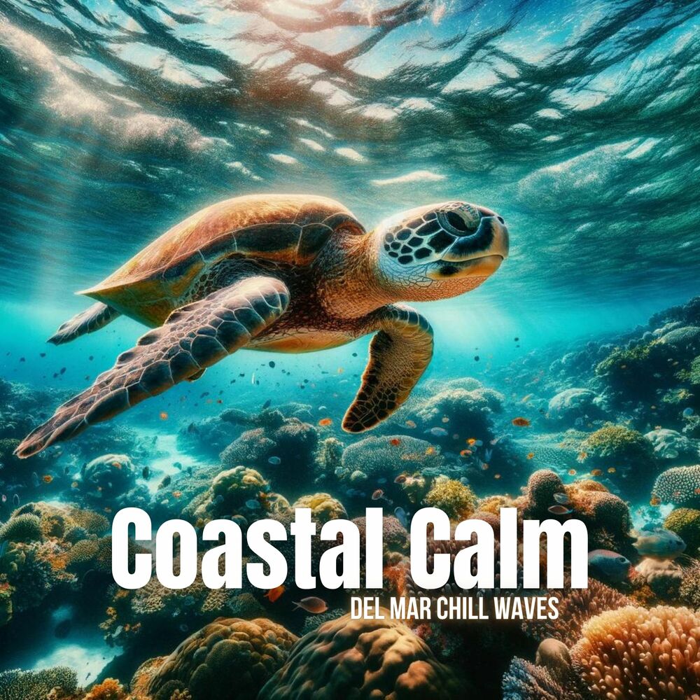 Picture of Coastal Calm: Del Mar Chill Waves