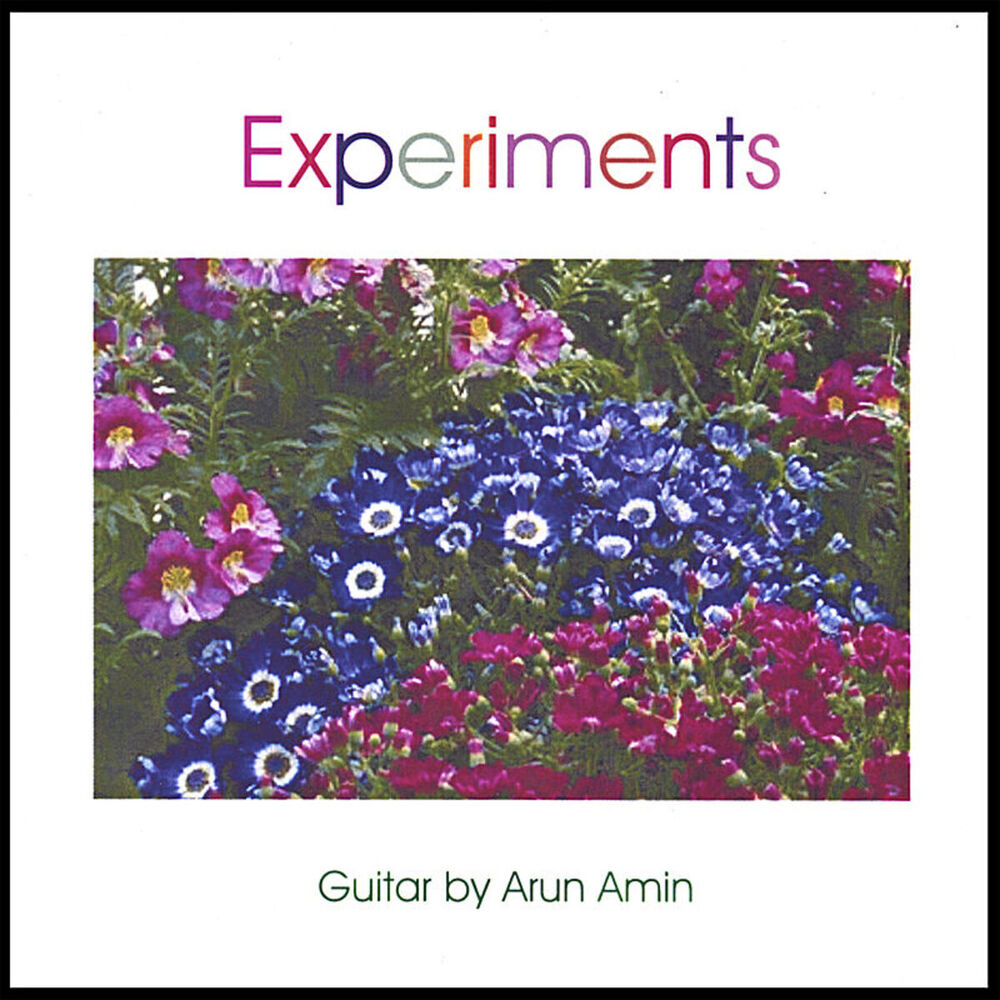 Picture of Experiments - Guitar by Arun Amin