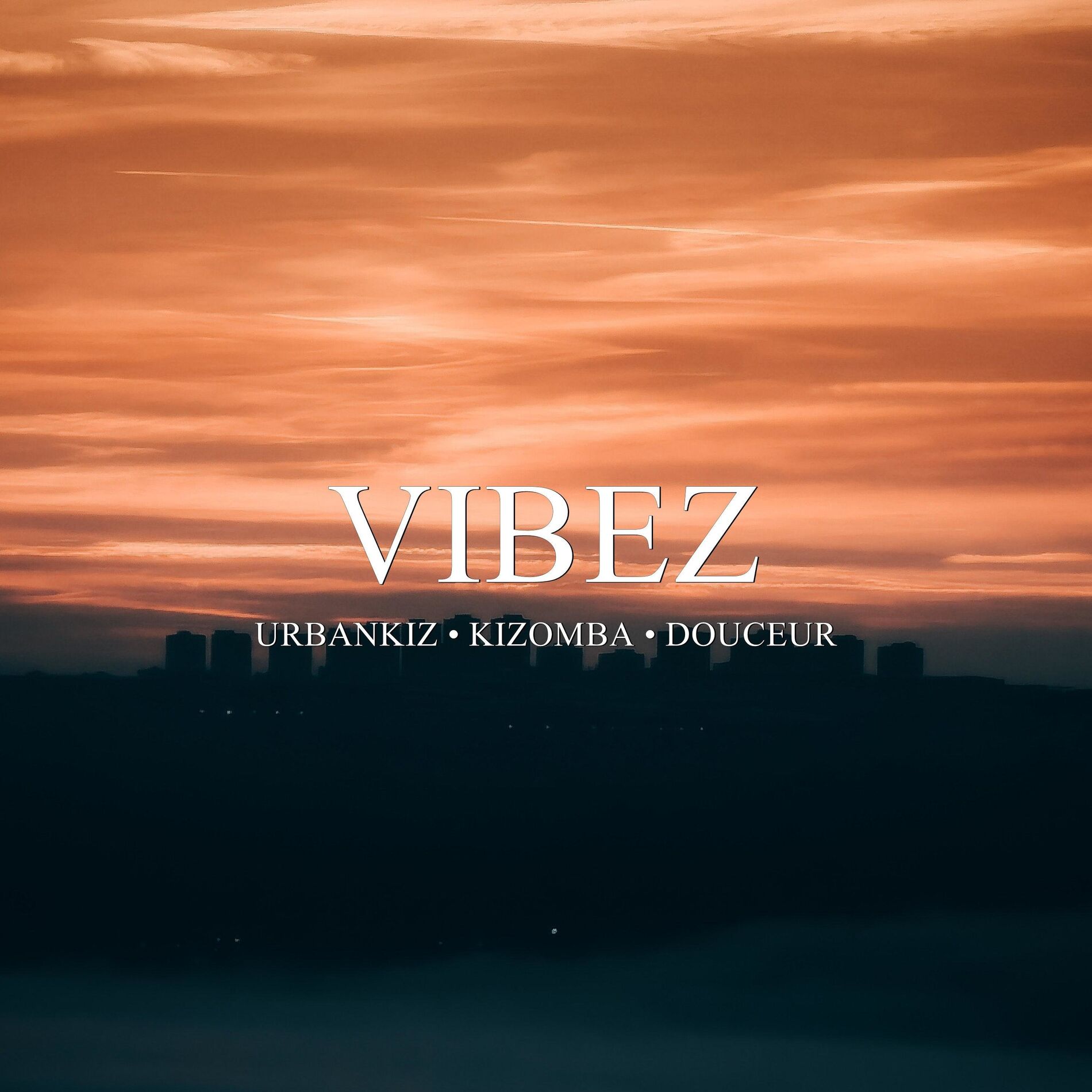 Album cover of Vibez