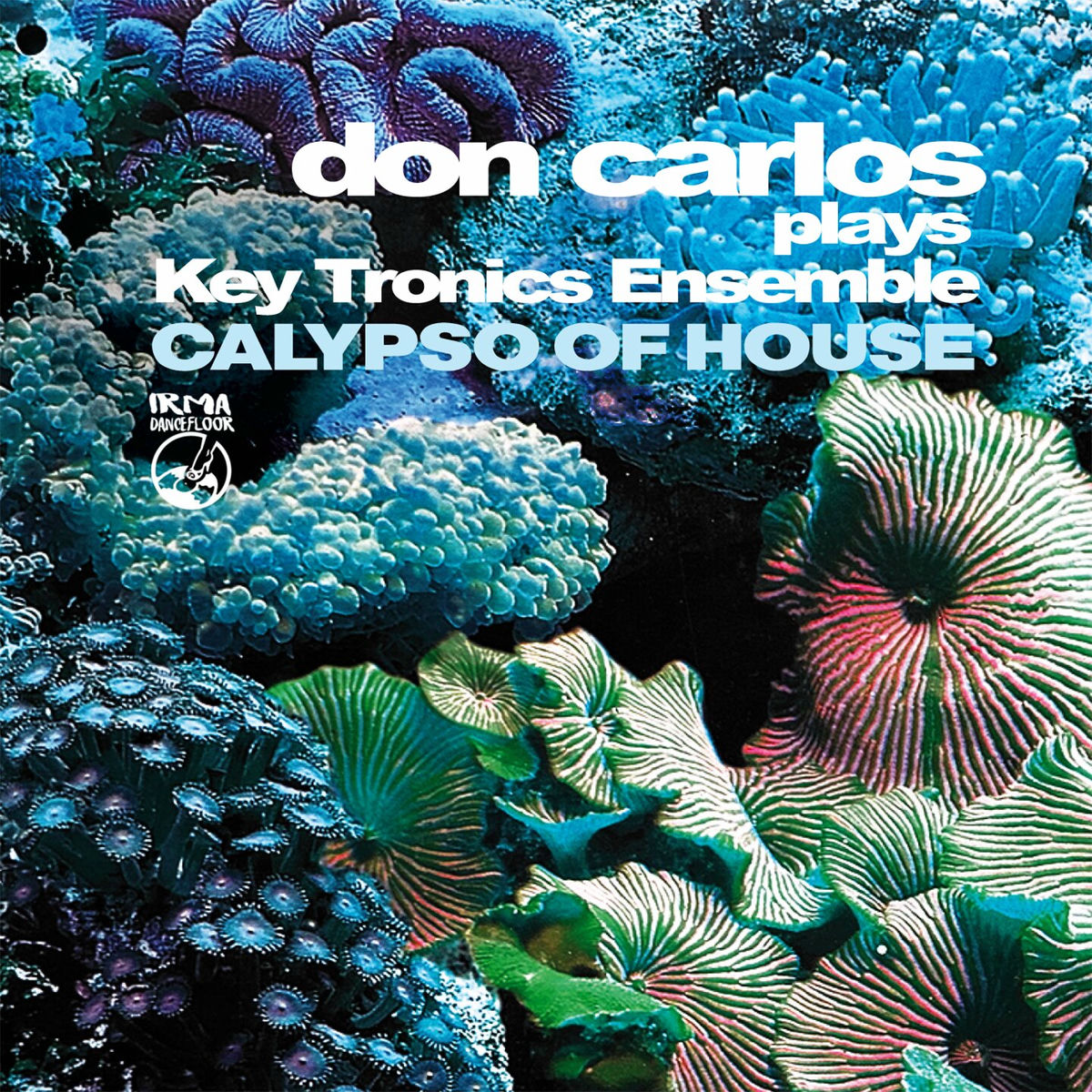 Album cover of Calypso Of House