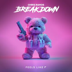 Cover of Breakdown
