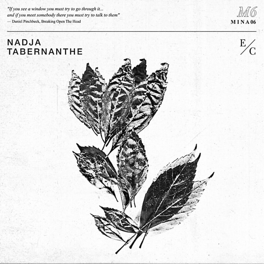 Picture of Tabernanthe