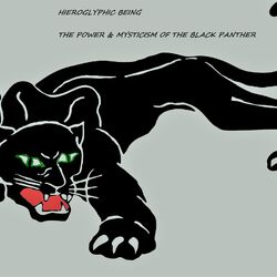 Cover of The Power & Mysticism of the Black Panther