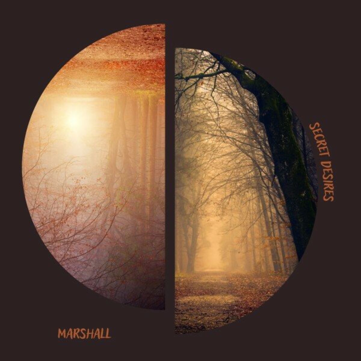 Album cover of Secret Desires