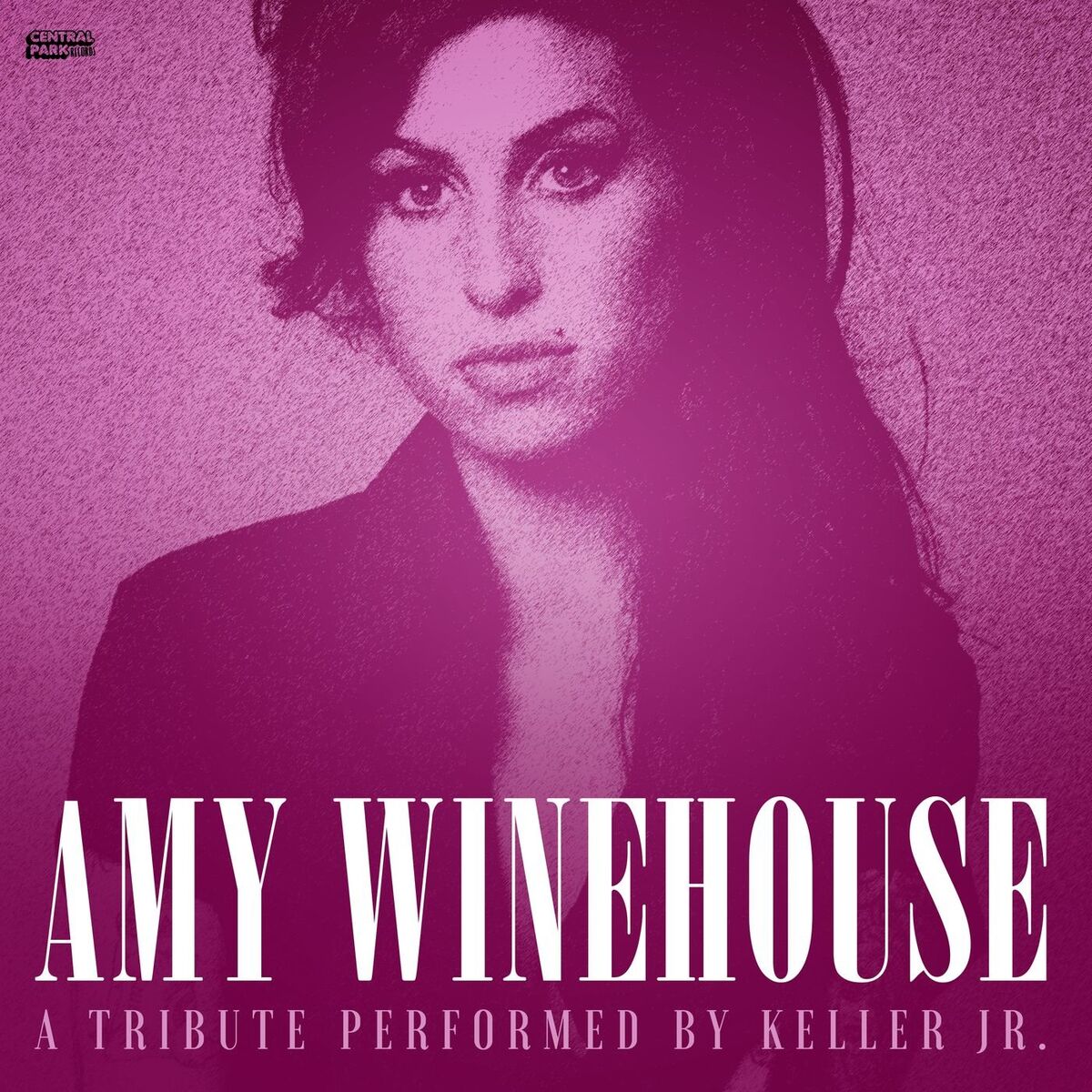 Album cover of Amy Winehouse Tribute - Back to Black / Rehab