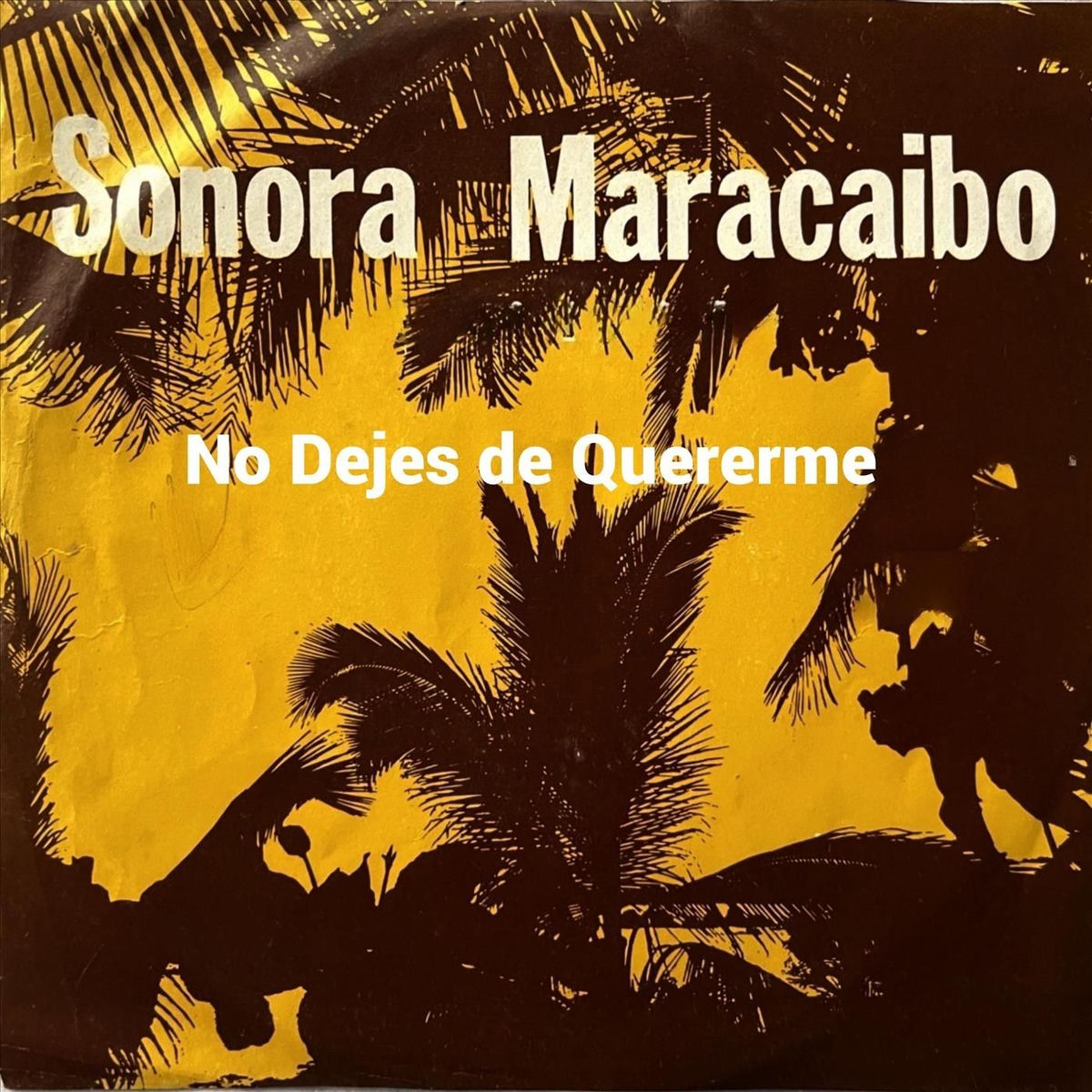 Album cover of No Dejes De Quererme