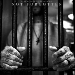 Cover of Not Forgotten