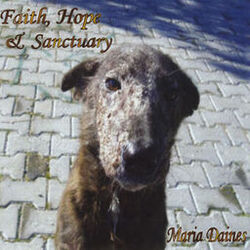 Cover of Faith Hope & Sanctuary