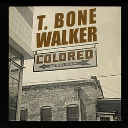 Cover of Colored